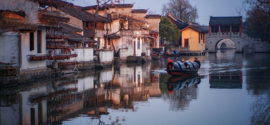蝎子逃生之地